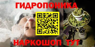 прущие грибы Краснознаменск