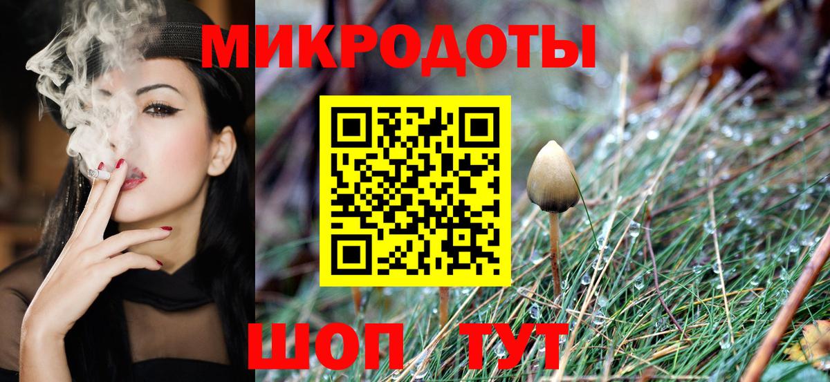 Псилоцибиновые грибы Psilocybe Иваново