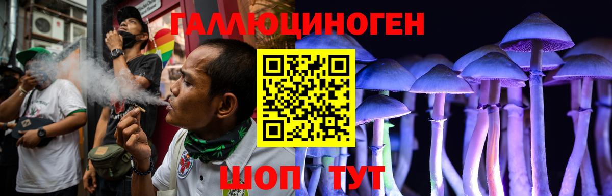 Иваново  Псилоцибиновые грибы MAGIC MUSHROOMS  Вход с VPN 